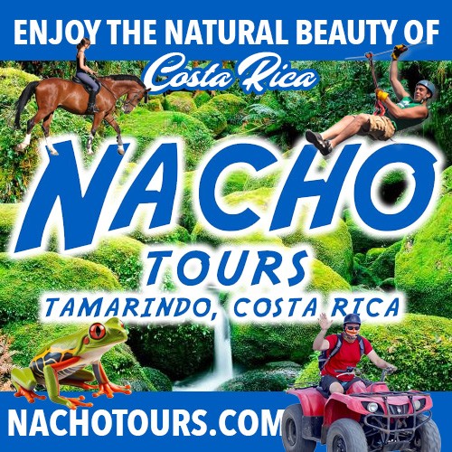 Nacho Tours