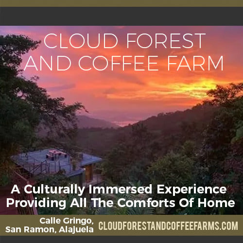Cloud Forest & Coffee Farm