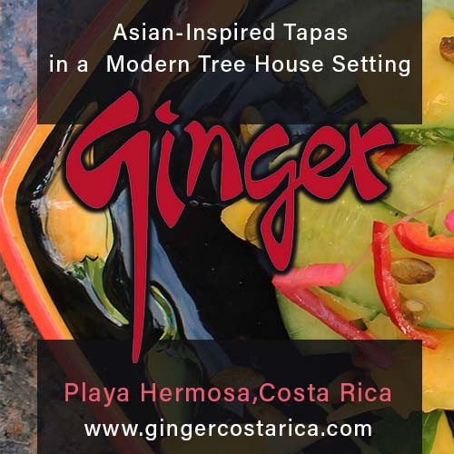 Ginger Restaurant Bar