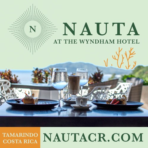 Nauta