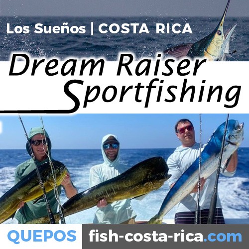 Dream Raiser Sportfishing